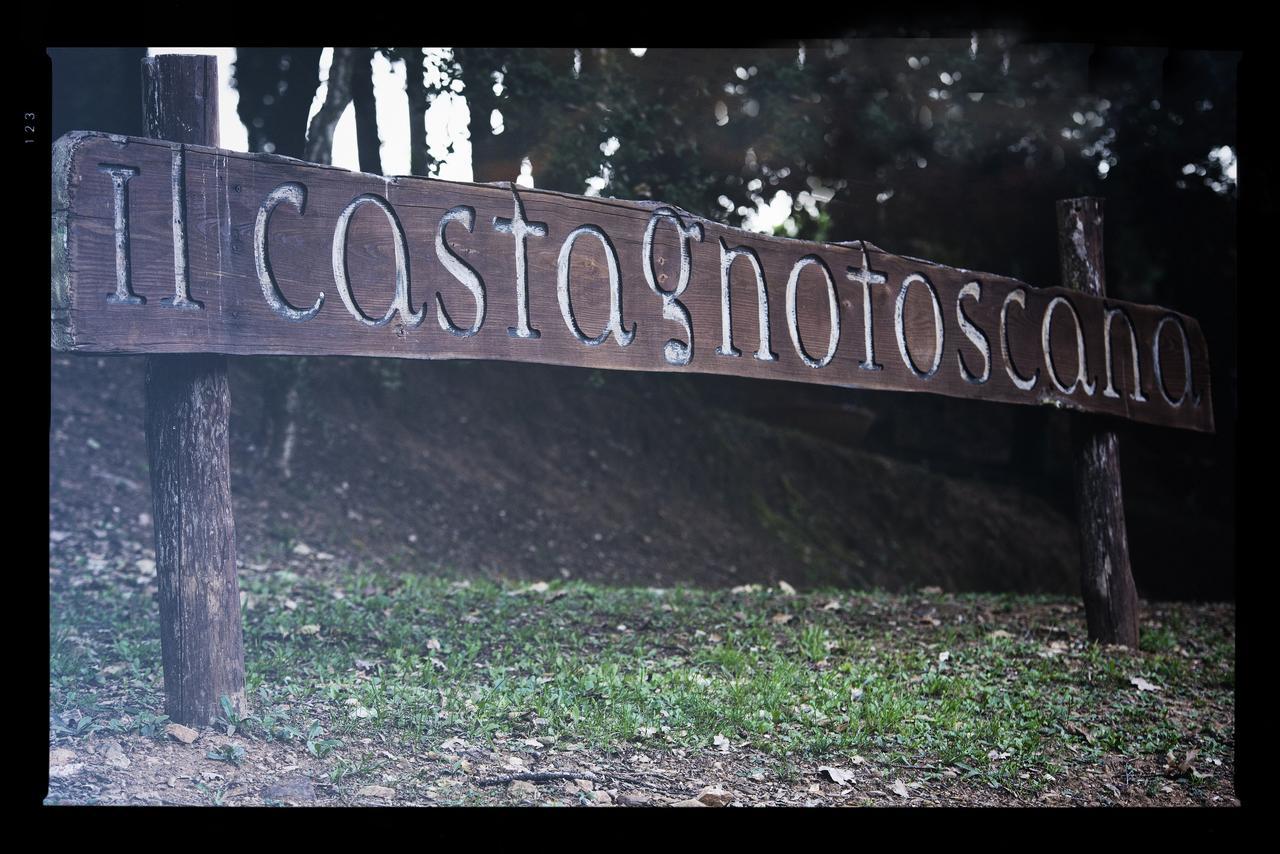 Il Castagno Toscana Campiglia Marittima Exterior photo